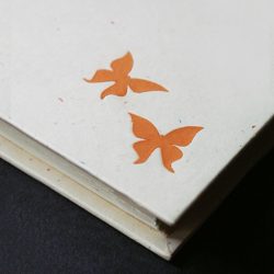 Svatební kolekce motýli