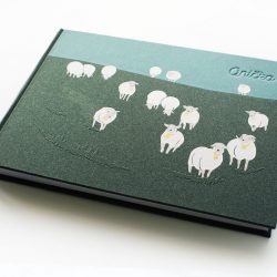 album Zelené ovečky s ražbou