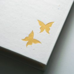 album Zlatí motýli