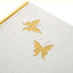 deník Zlatí motýli