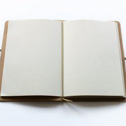 Přírodní zápisník