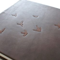 kožené album Vlaštovky