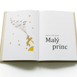 kožená kniha Malý princ