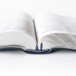 renovace Studijní bible