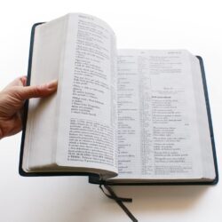 renovace Studijní bible