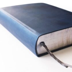 renovace Studijní bible