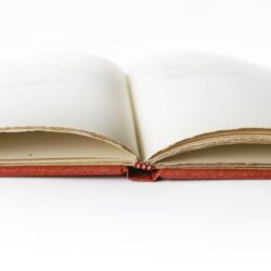 Bibliofilie Paralipomena II
